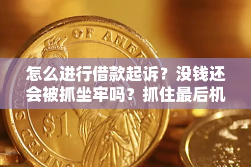 北京怎么进行借款起诉？没钱还会被抓坐牢吗？抓住最后机会！