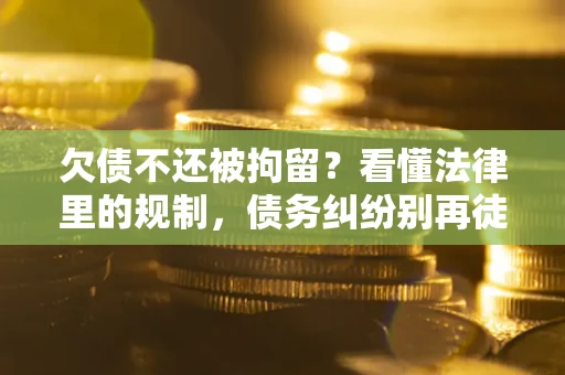 北京欠债不还被拘留？看懂法律里的规制，债务纠纷别再徒劳奔波