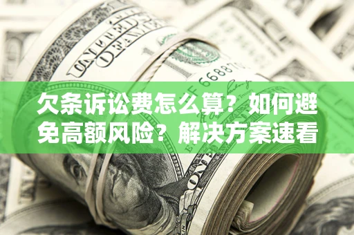 北京欠条诉讼费怎么算？如何避免高额风险？解决方案速看！