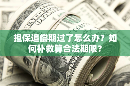 北京担保追偿期过了怎么办？如何补救算合法期限？