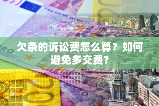 北京欠条的诉讼费怎么算？如何避免多交费？