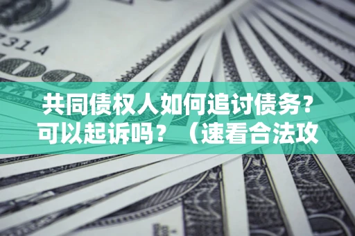 北京共同债权人如何追讨债务？可以起诉吗？（速看合法攻略）